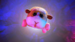 アニメ『PUI PUI モルカー』特別エピソード場面カット