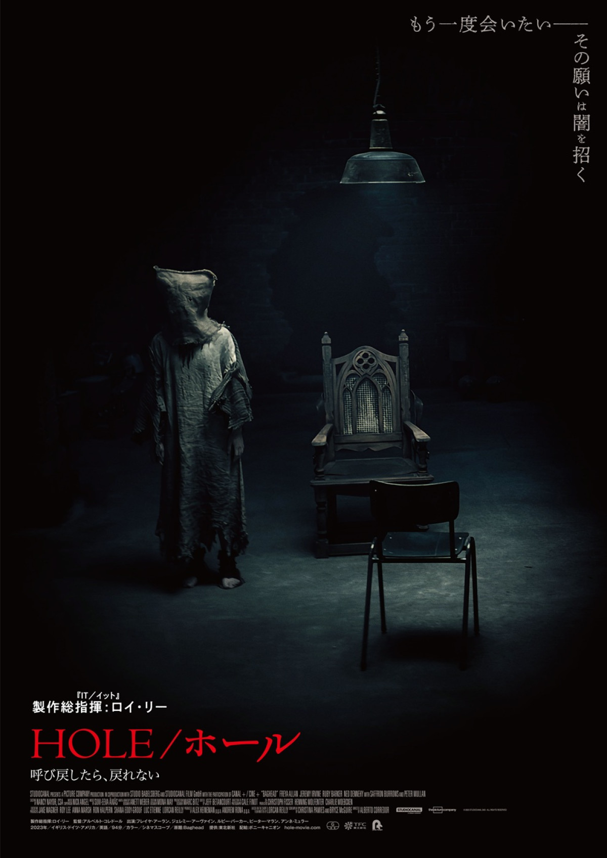 映画『HOLE／ホール 呼び戻したら、戻れない』ティザーポスター