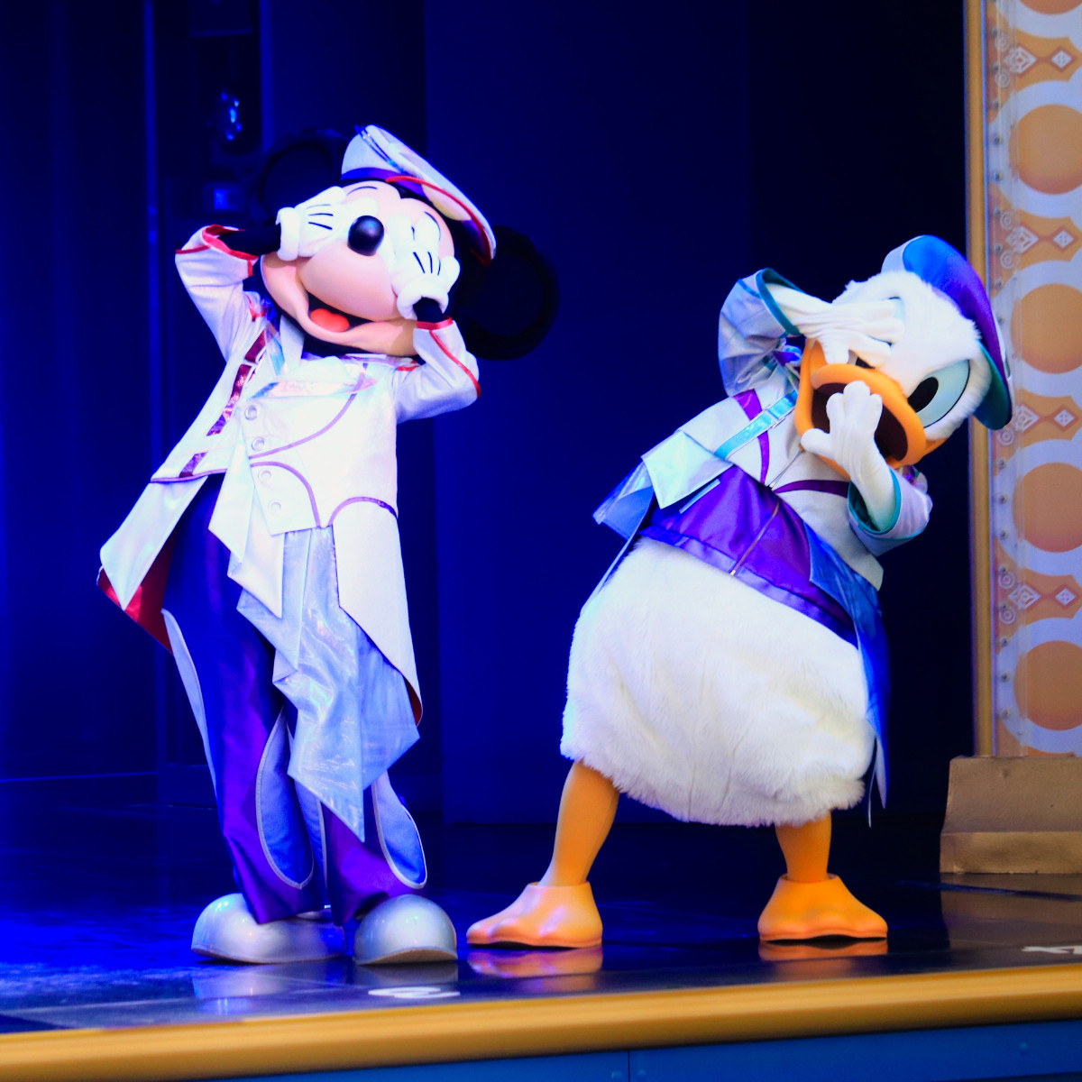 20260929 The D‐Groovationz4 Live： Happy！ Funky！ Groovy！Tour