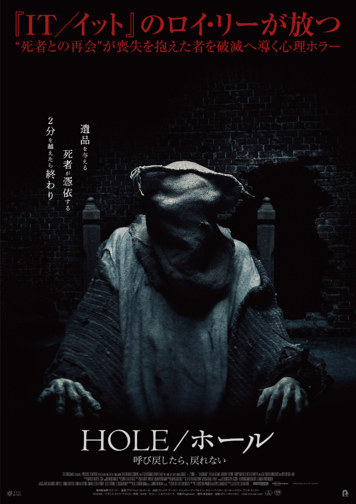 映画『HOLE／ホール 呼び戻したら、戻れない』本ポスタービジュアル