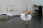 『SWAN -Ballet cross Reading-』稽古場の様子