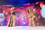 ピコ太郎『PPAP X PT ～PPAP10周年プレミアムライブ』より