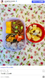 柳原可奈子、手作り弁当　※「柳原可奈子」Instagram