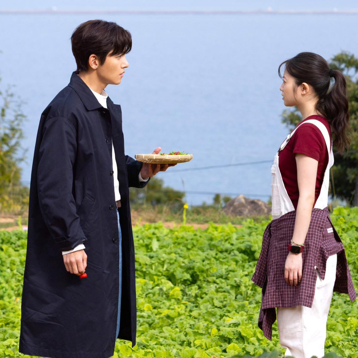 チ・チャンウク×今田美桜『メリーベリーラブ』今夜スタート　甘酸っぱいロマンティック・ラブコメディ開幕