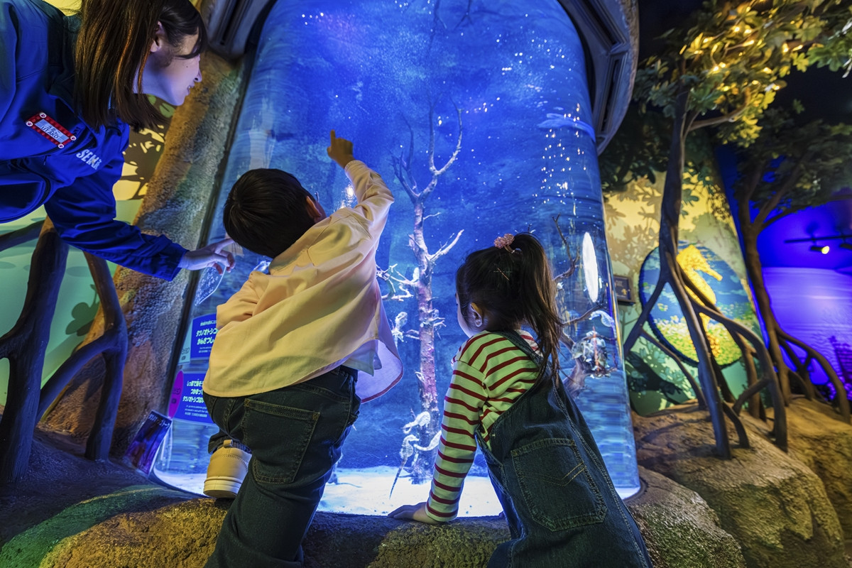 20260121_どうぶつの森水族館コラボ