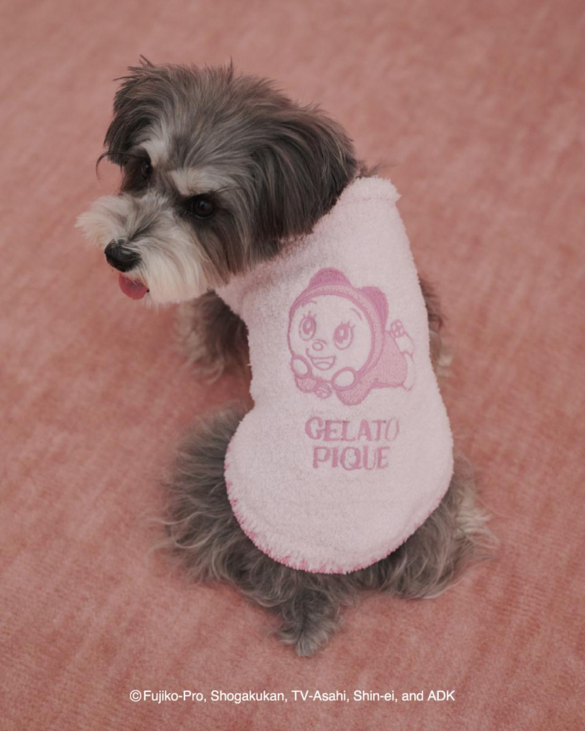 260110「ドラえもん meets GELATO PIQUE」