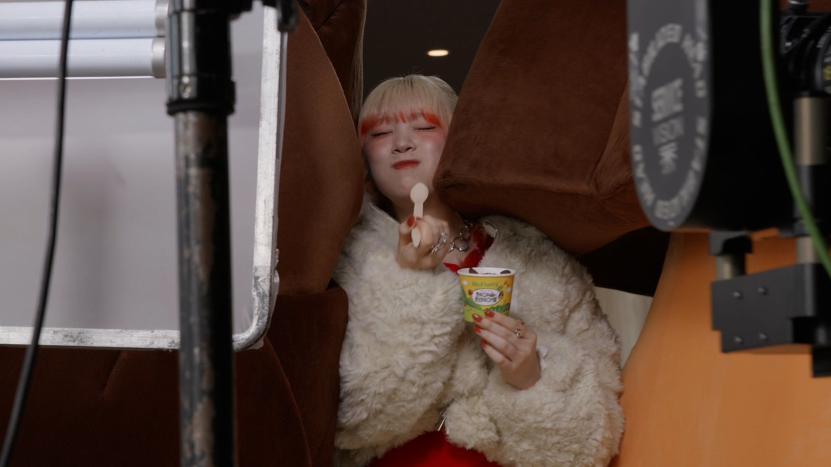 20260115 「マックフルーリー きのこの山とたけのこの里」