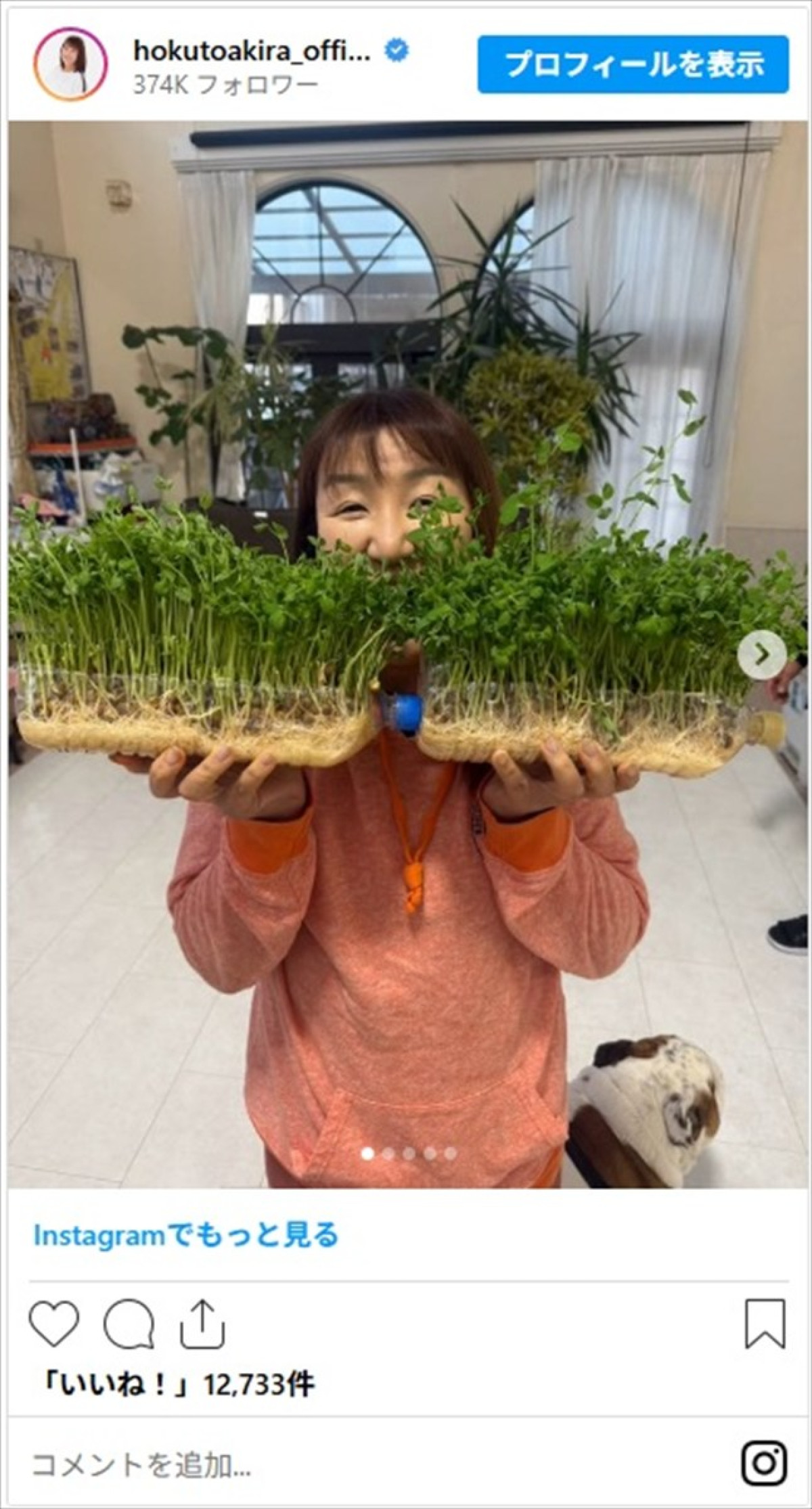 北斗晶・井上咲楽ら女性芸能人の心も体もあったまる鍋料理に「美味しそう」「レシピ教えて欲しいです」