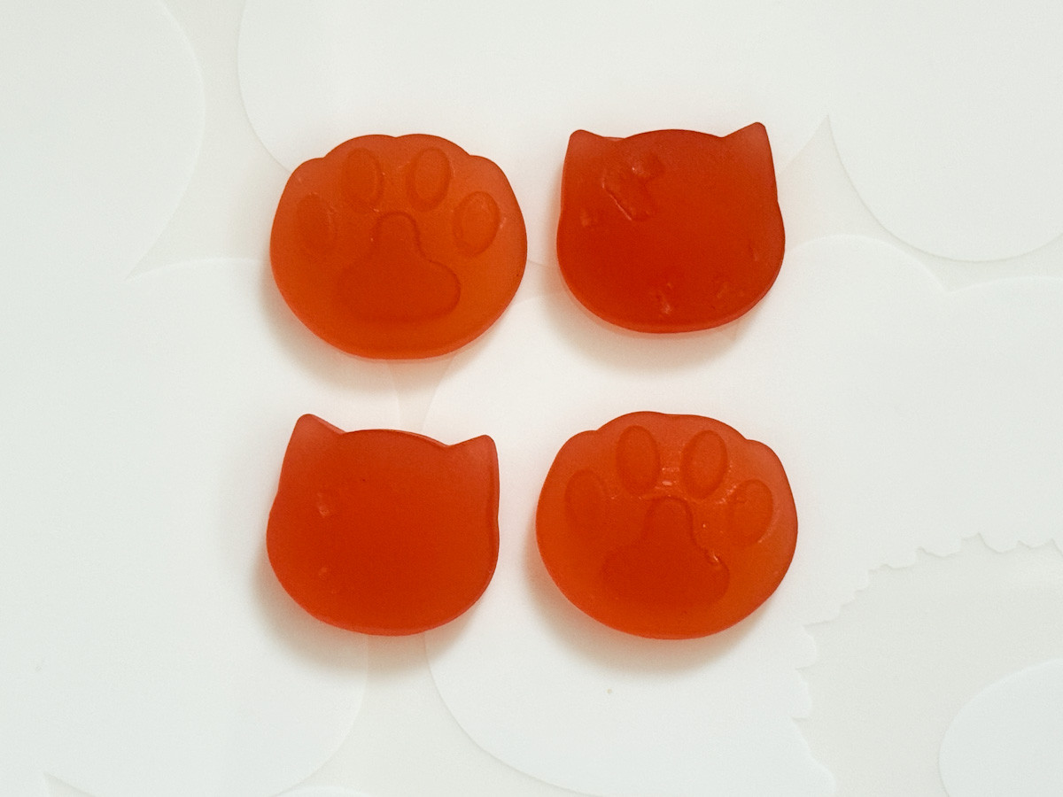 20260209 ファミリ～にゃ～ト大作戦！