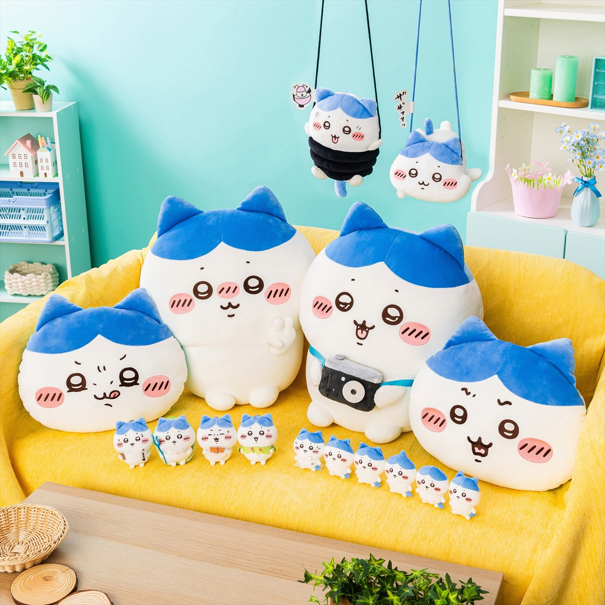 20260217_ハチワレだらけくじ