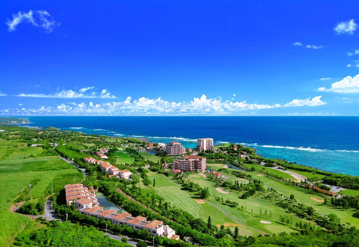 2026.2.9アラマンダ スプレンディド