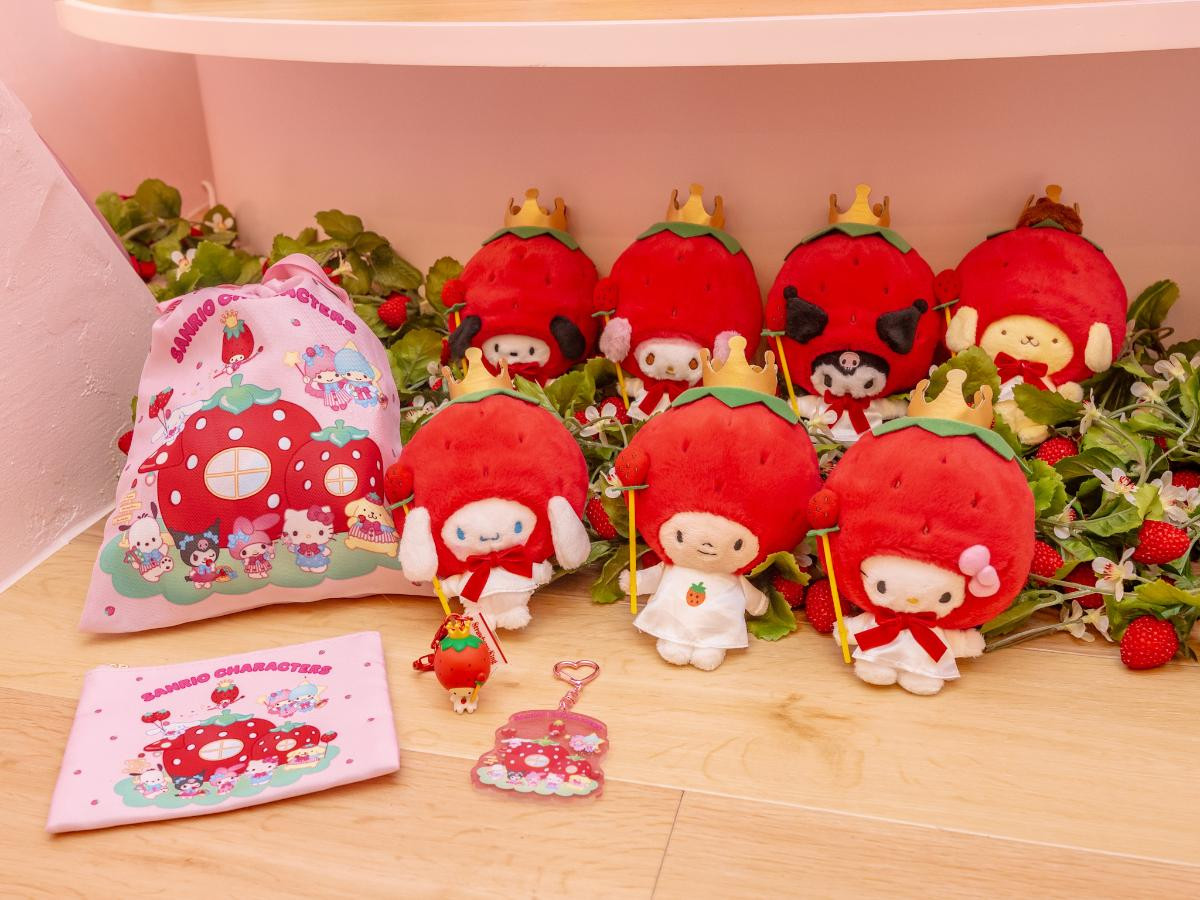 260227「いちごのお家」