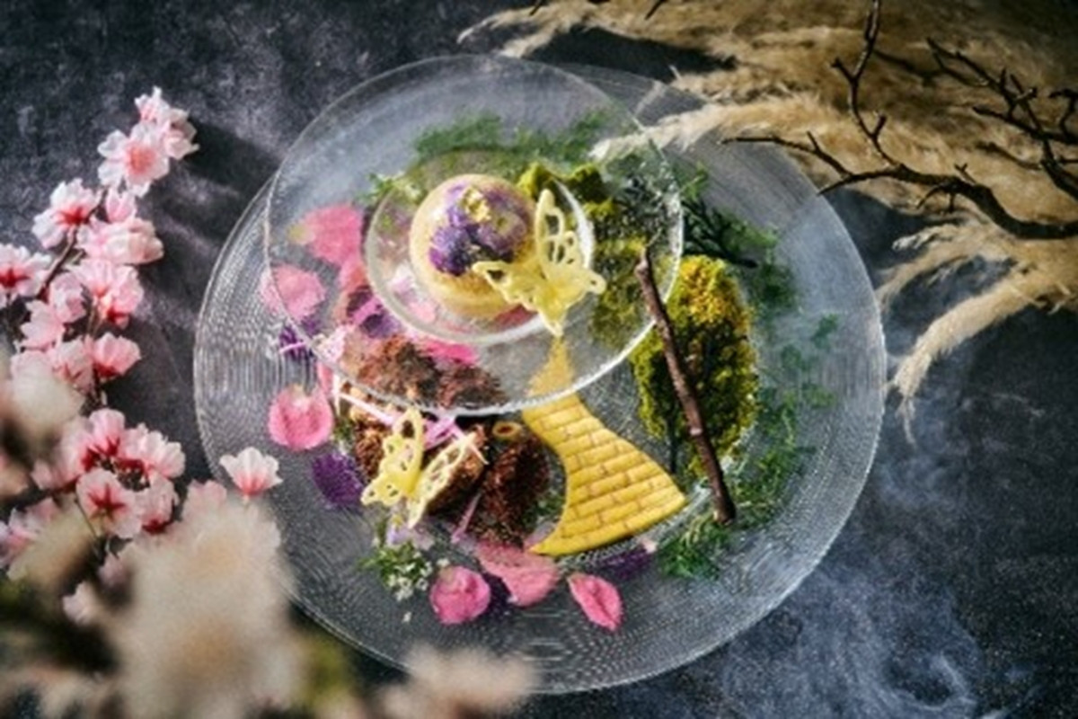 20260203_ウィキッド