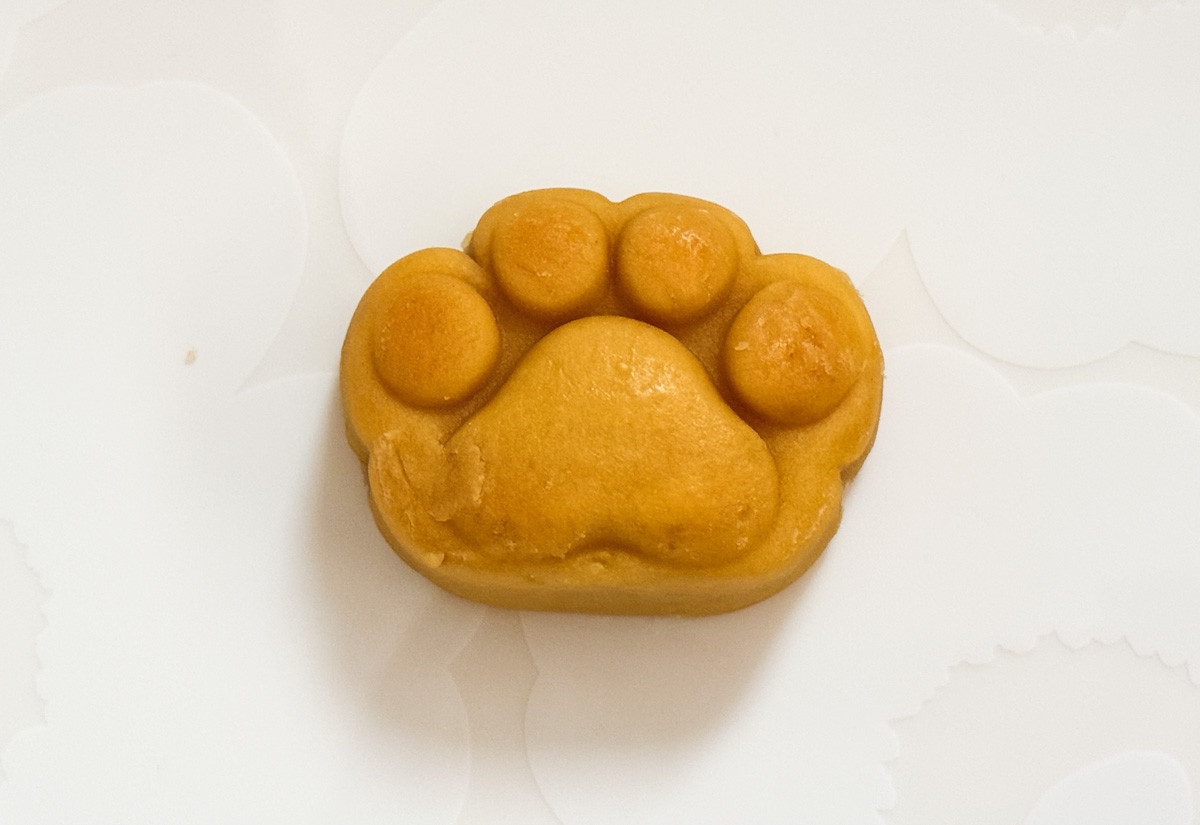 20260209 ファミリ～にゃ～ト大作戦！