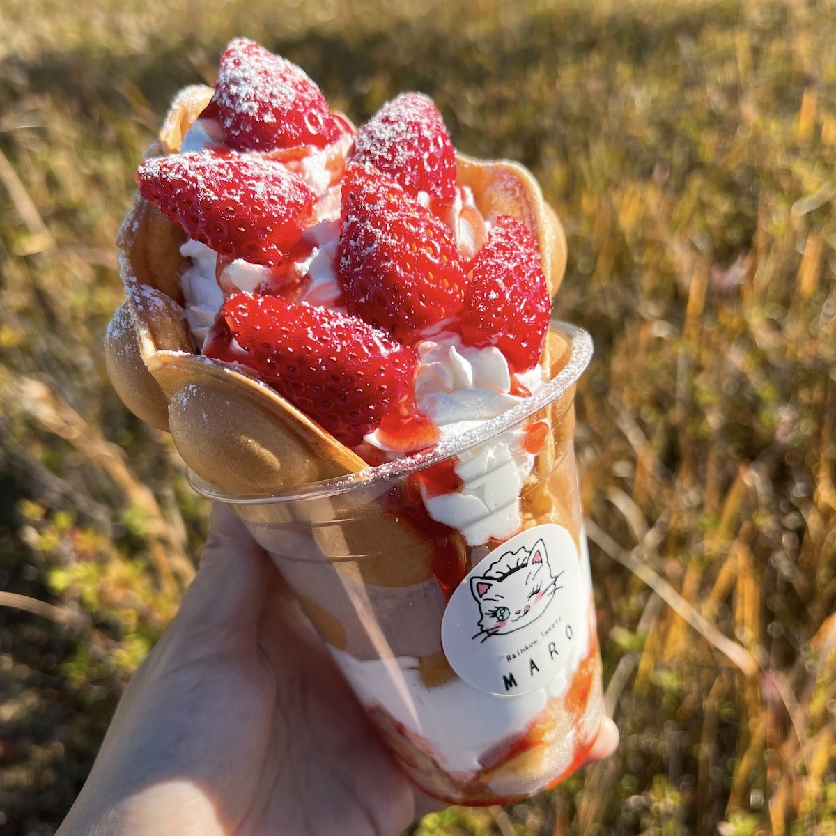 2026.3.11ODAIBA いちごフェス