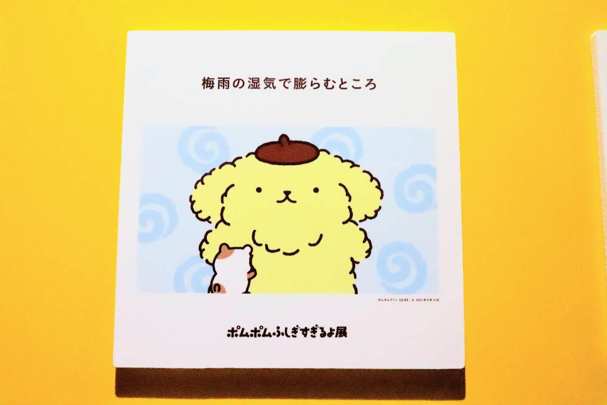 20260412 ポムポムすぎるよ展