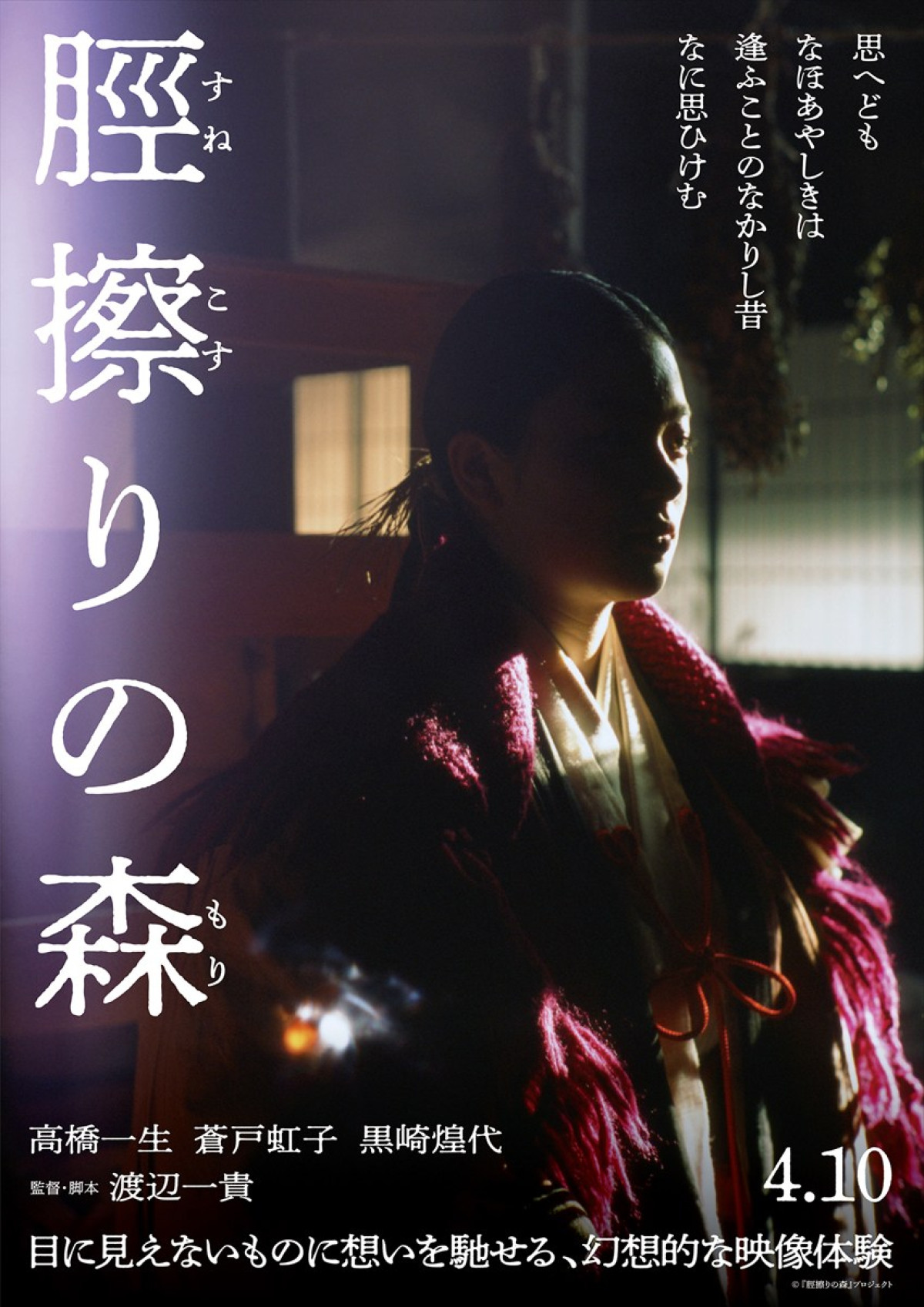 『脛擦りの森』静謐な美しさに魅入られる――新ビジュアル8点＆SP予告解禁