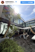 自宅の植物を披露　※「滝沢眞規子」Instagram