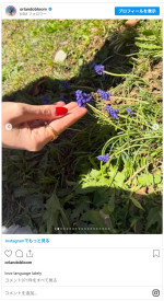 恋人？　近況投稿に赤いネイルの人物　※「オーランド・ブルーム」Instagram