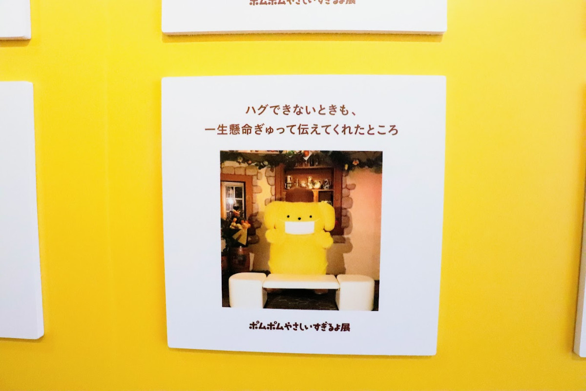 20260412 ポムポムすぎるよ展