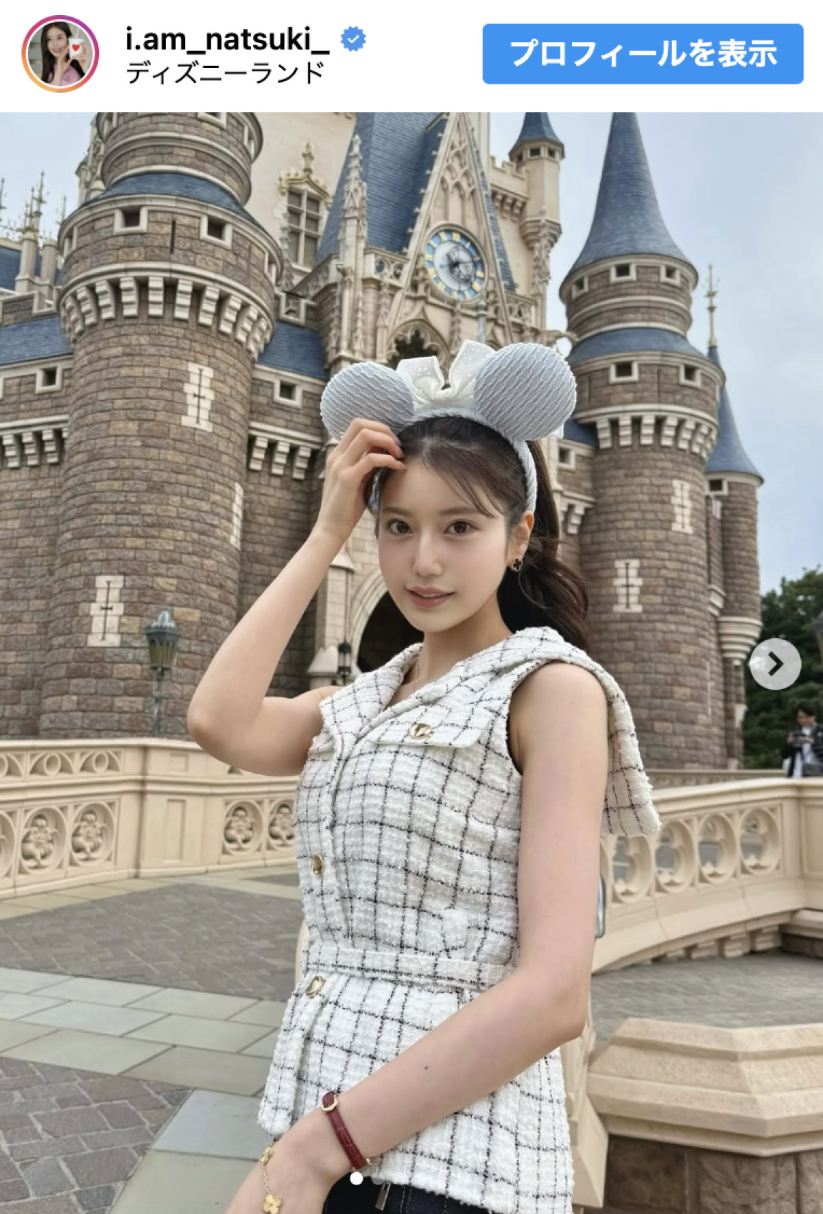 阿部なつき、東京ディズニーランド“秘密の場所”を訪問　※「阿部なつき」Instagram