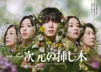ドラマ『一次元の挿し木』メインビジュアル