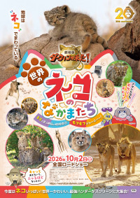 『劇場版ダーウィンが来た！　世界のネコのなかまたち』ポスタービジュアル