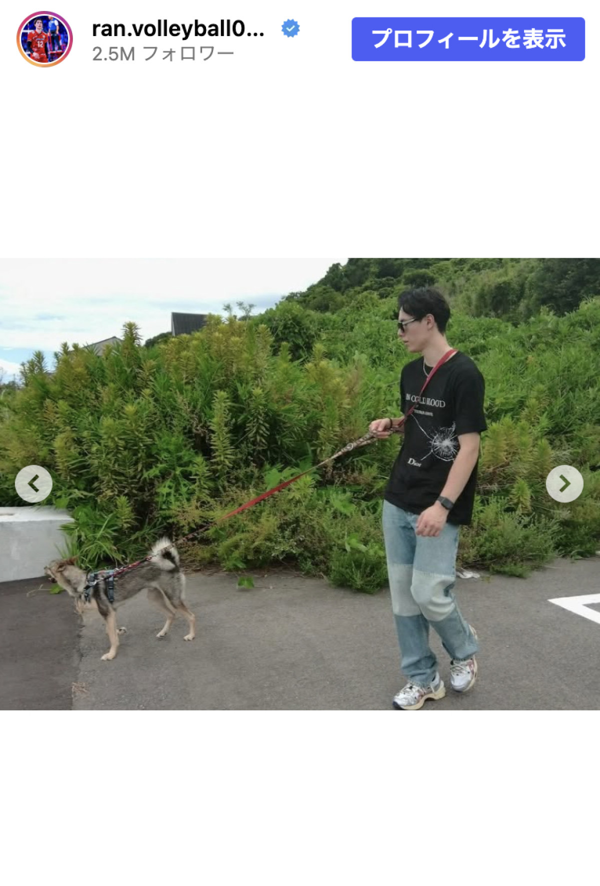 男子バレー高橋藍「淡路島旅行してきました！」腕に抱かれる愛犬に「羨ましい」の声