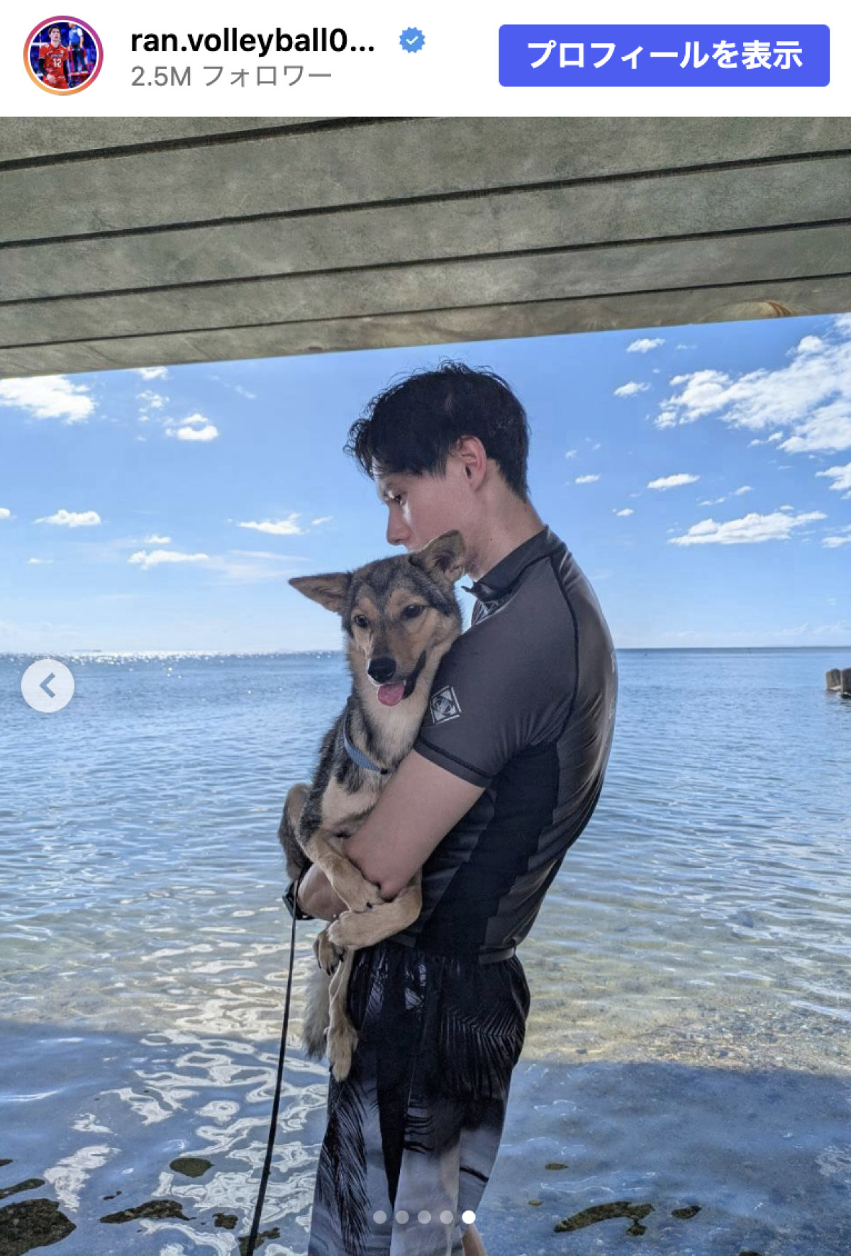 男子バレー高橋藍「淡路島旅行してきました！」腕に抱かれる愛犬に「羨ましい」の声