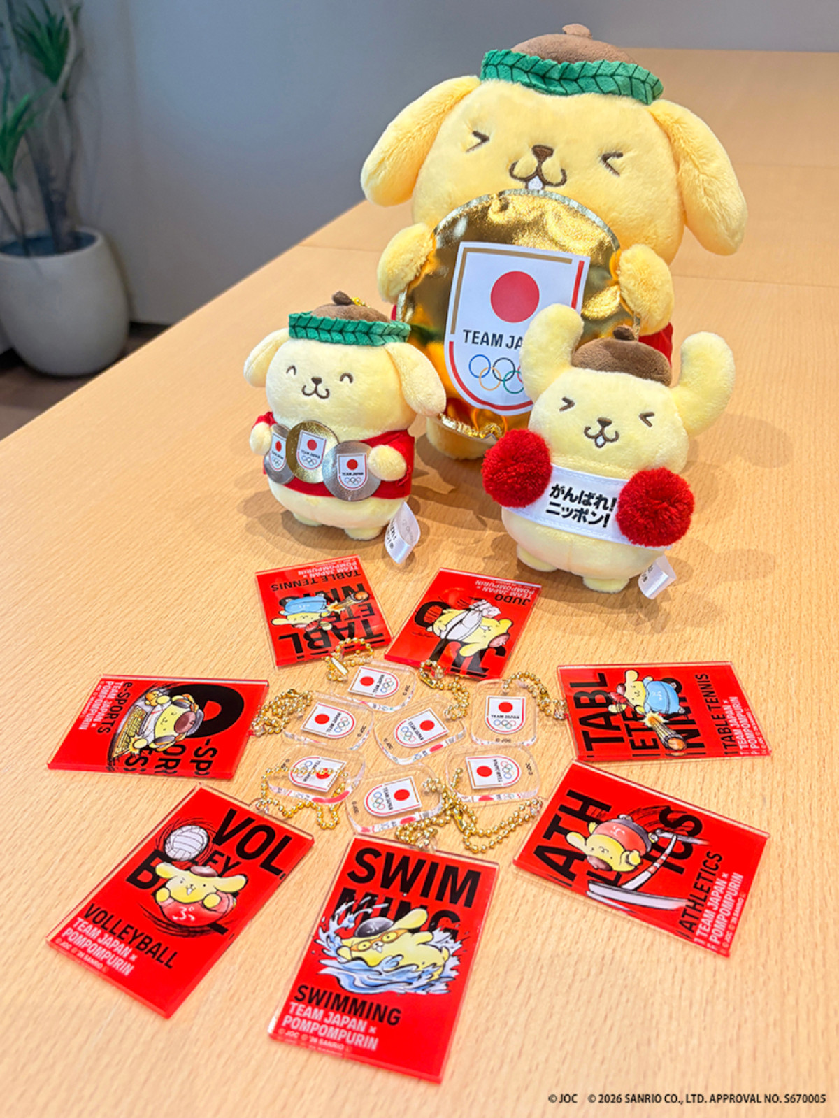 20260820 ポムポムプリン×TEAM JAPAN