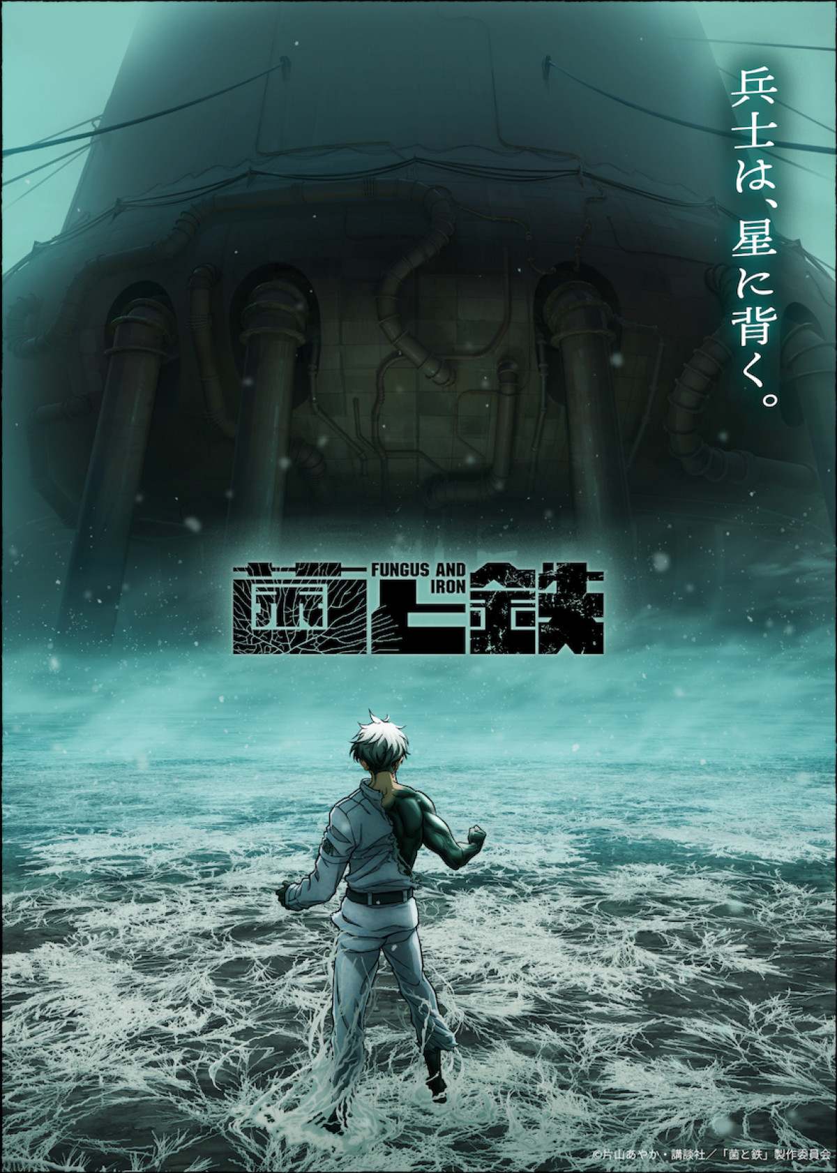 アニメ『菌と鉄』ティザービジュアル第2弾