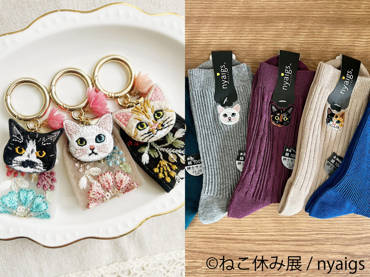 2026.1.17ねこ休み展