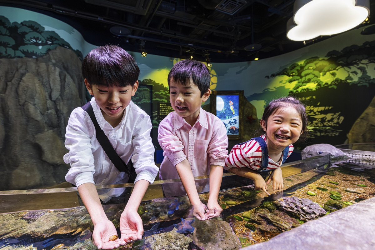 20260121_どうぶつの森水族館コラボ