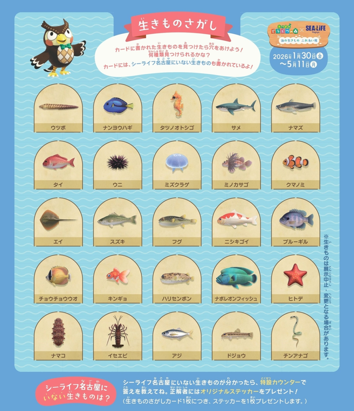 20260121_どうぶつの森水族館コラボ