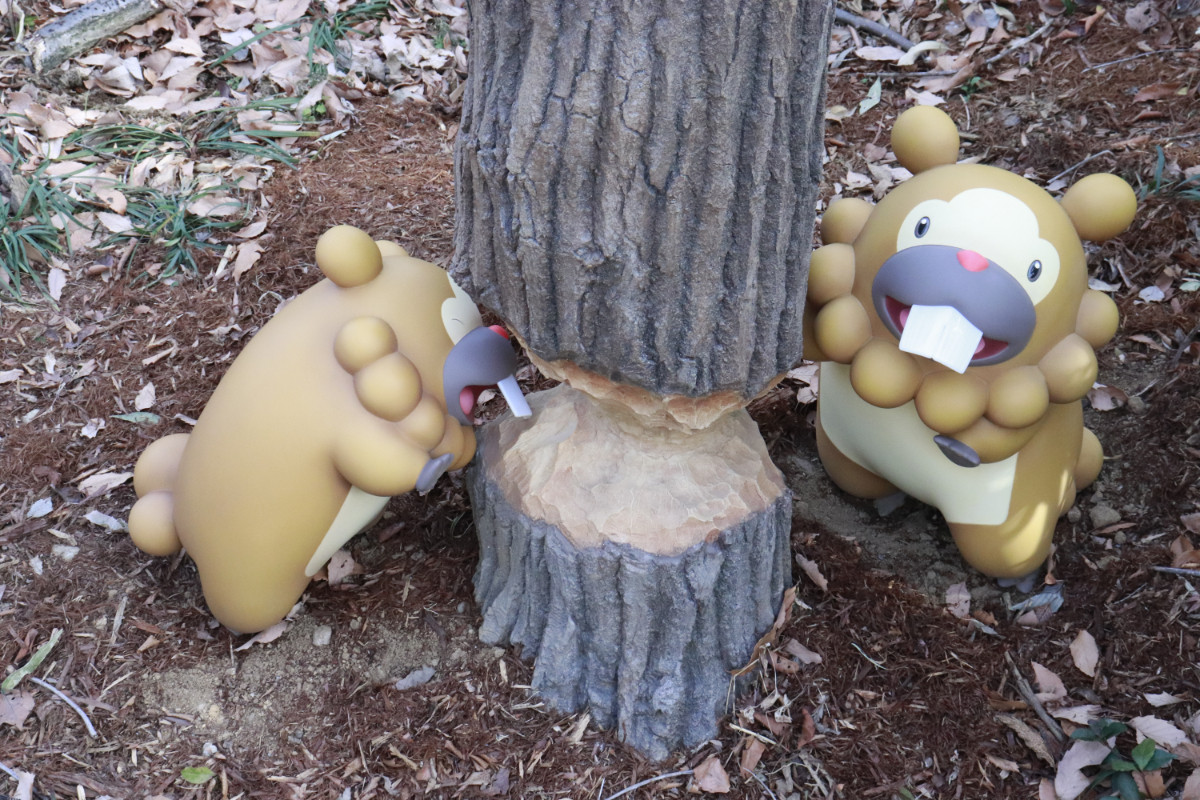 20260126 ポケパーク