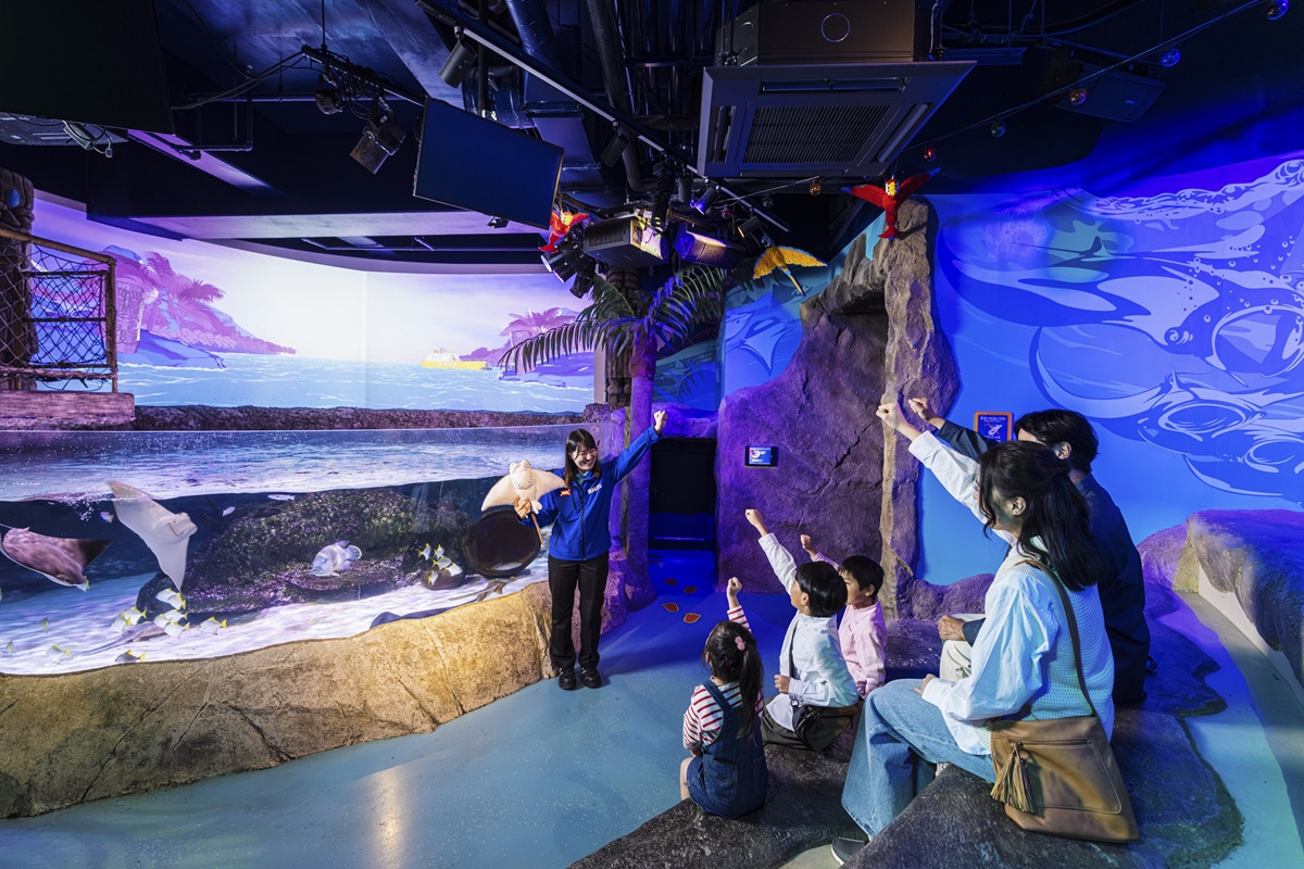 20260121_どうぶつの森水族館コラボ