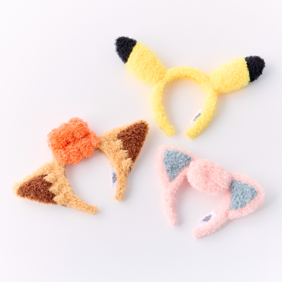 20260115 ポケパーク カントー