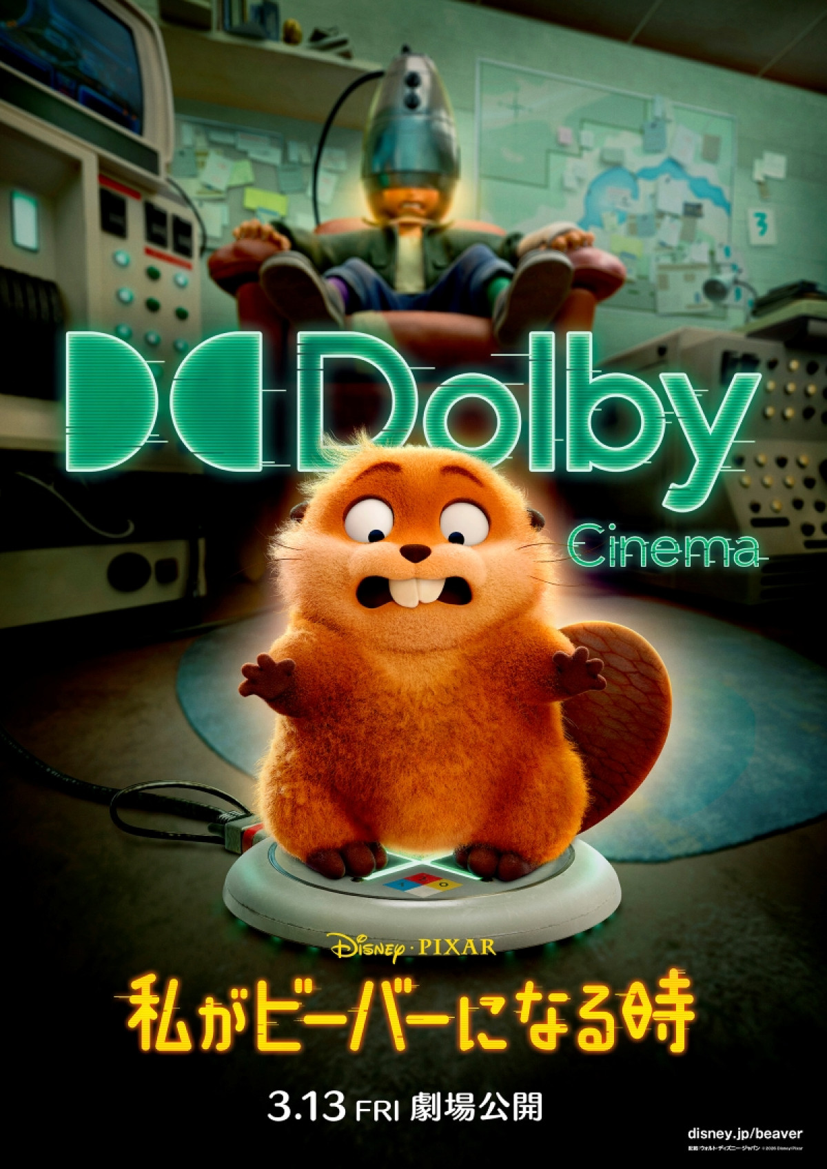 『私がビーバーになる時』IMAX・4Dなど上映形式決定　キュートで“クセあり”な動物たちの世界へ没入