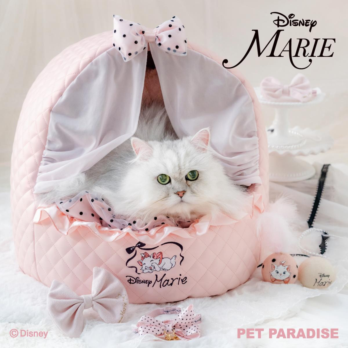 260217「2026年春夏コレクション」