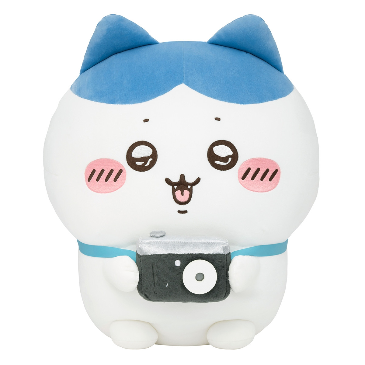 20260217_ハチワレだらけくじ