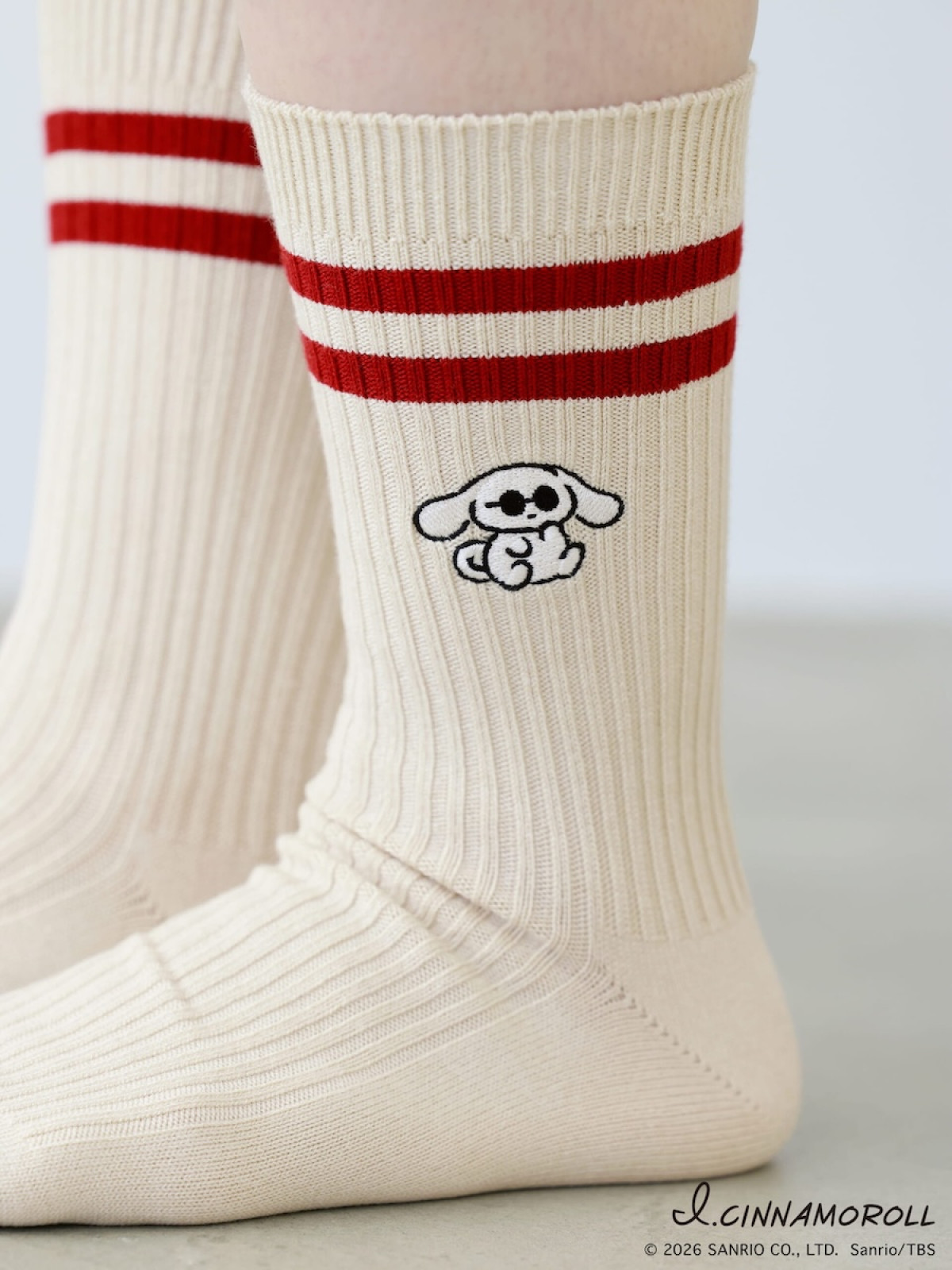 260216_アイシナモロール