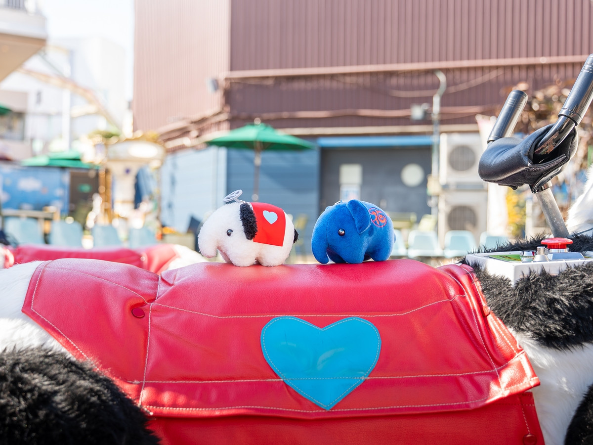 20260303_ドムドム