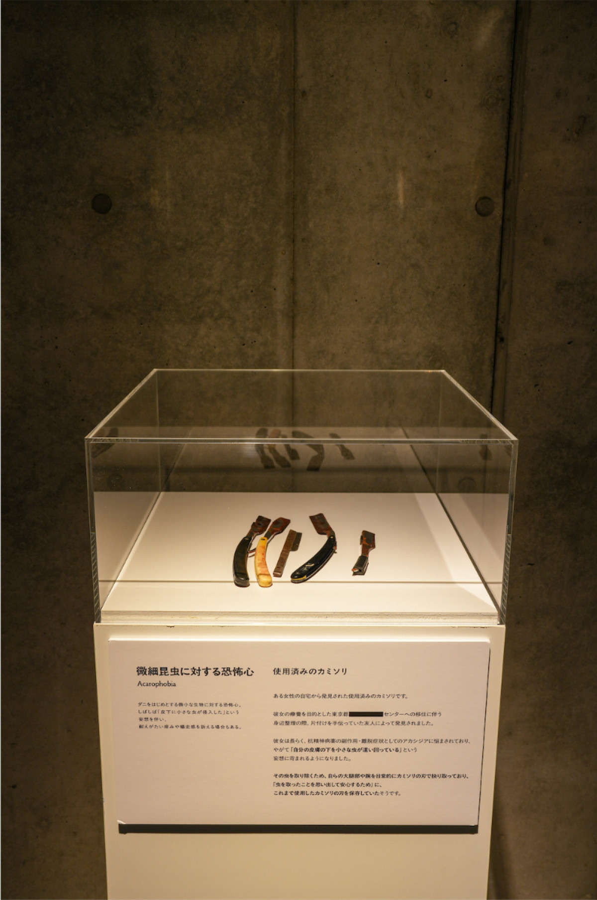 20260327_恐怖心展大阪