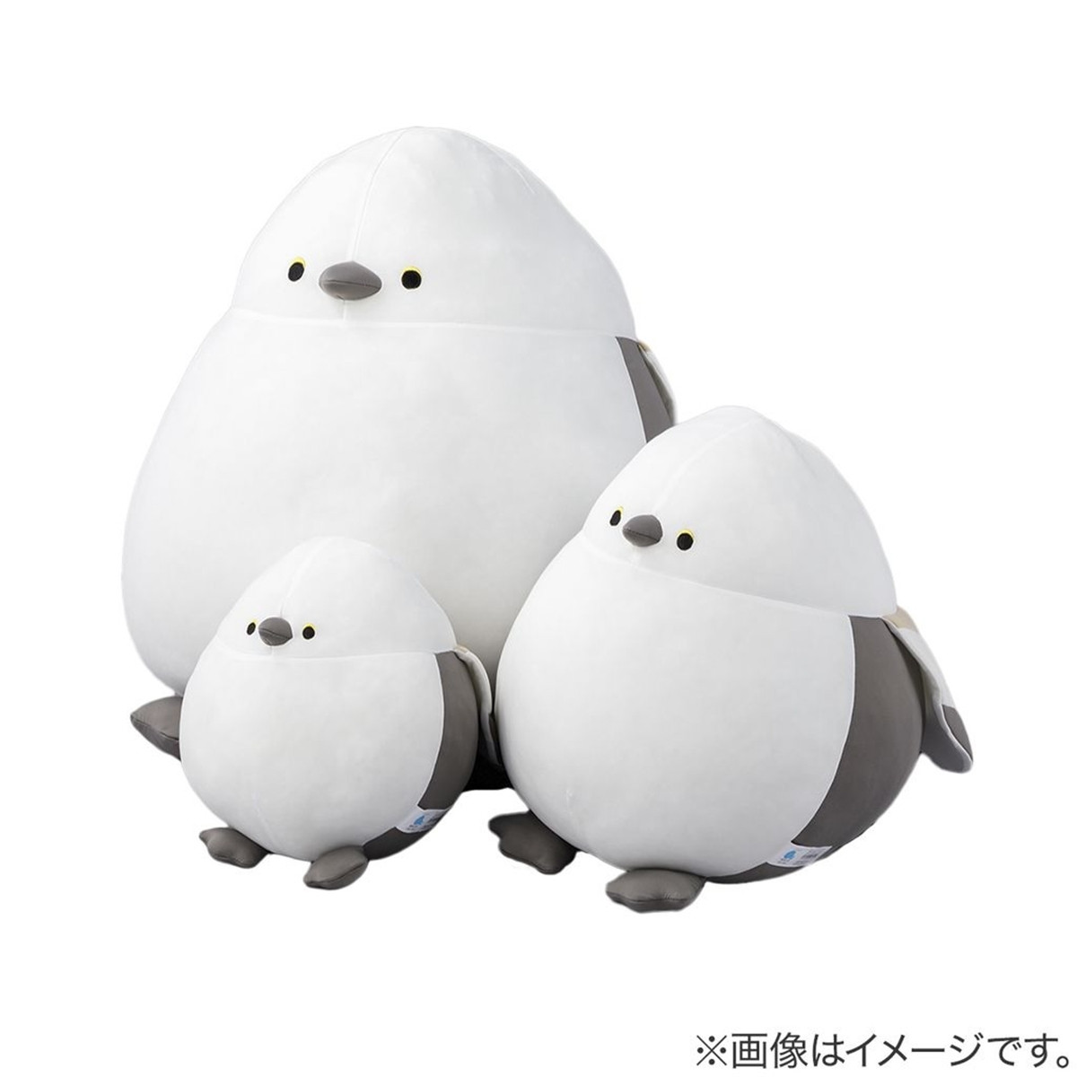 ニトリ「Nクールぬいぐるみ」に新作登場！　今年はチンアナゴやかっぱが仲間入り