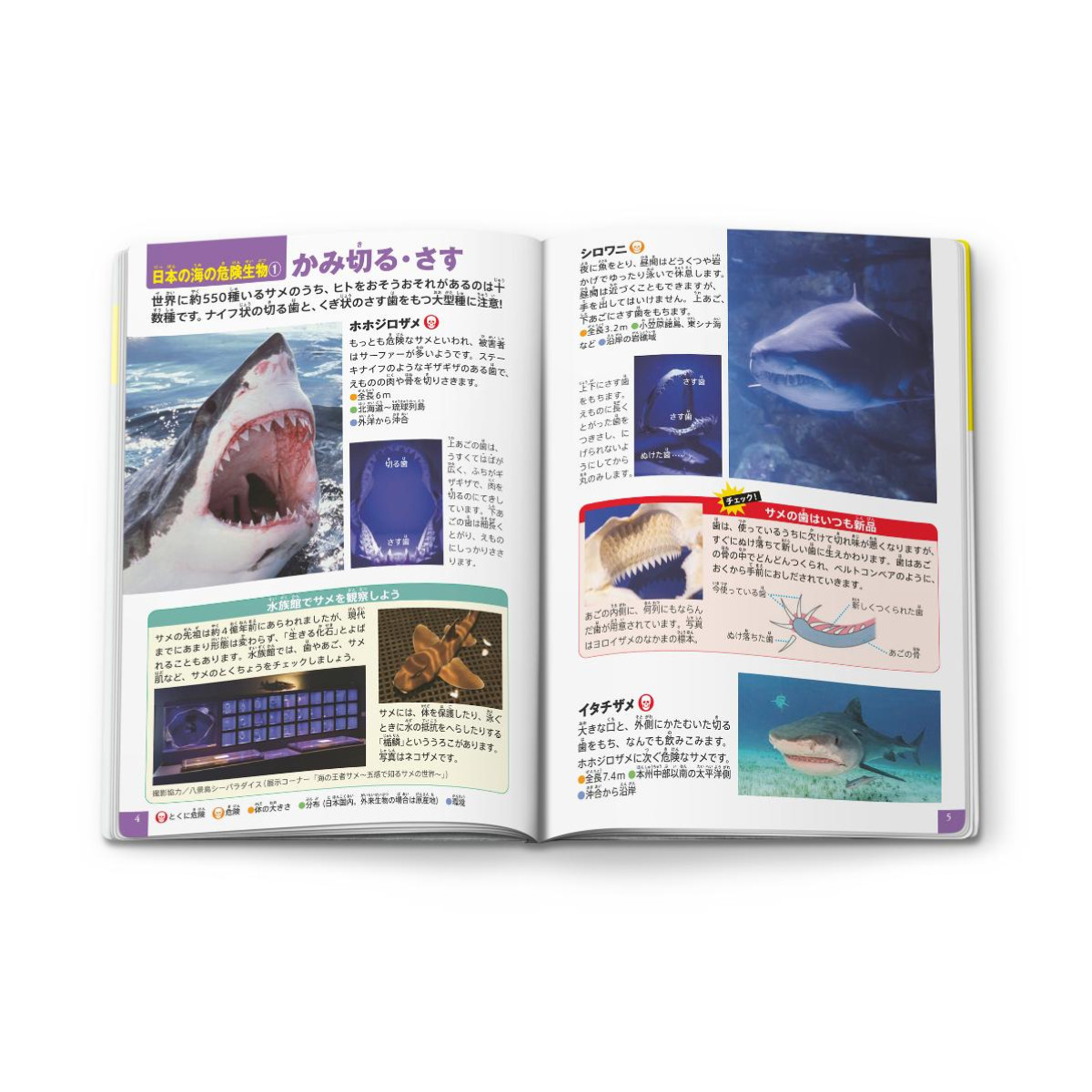 260318「ハッピーセット」