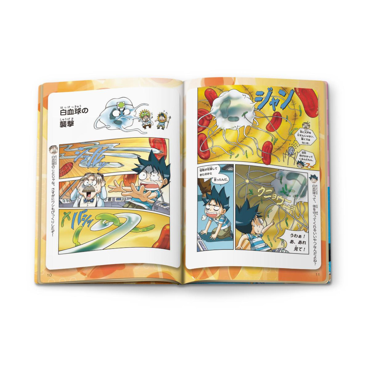 260318「ハッピーセット」