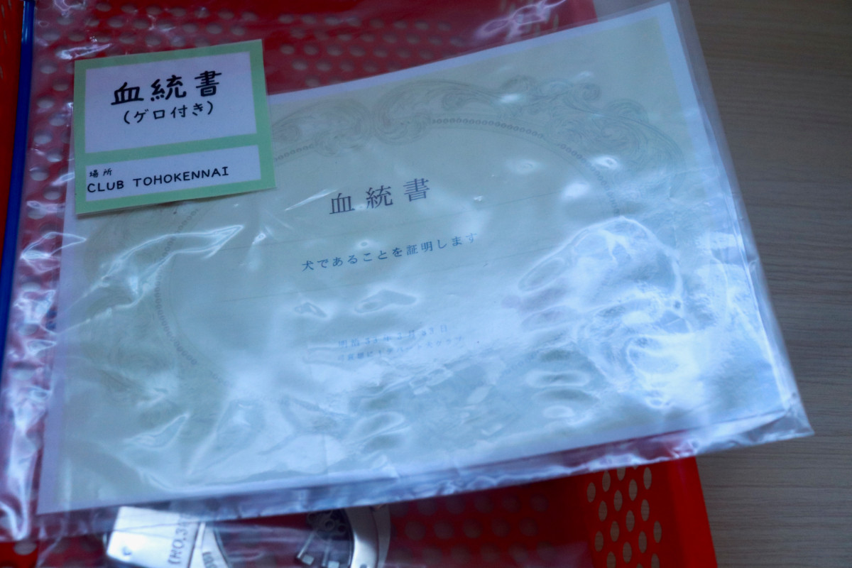 20260424_「祝 閉店！可哀想に！デパート」展