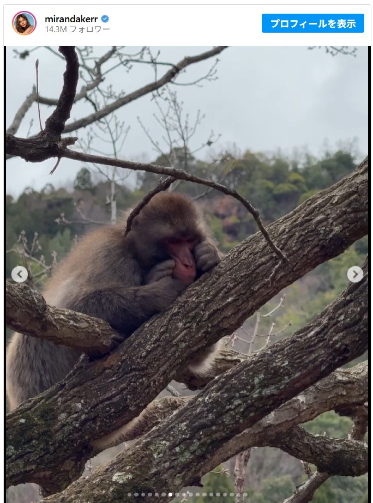 ミランダ・カーが来日！　京都のお茶室で夫とほっこり2ショット公開