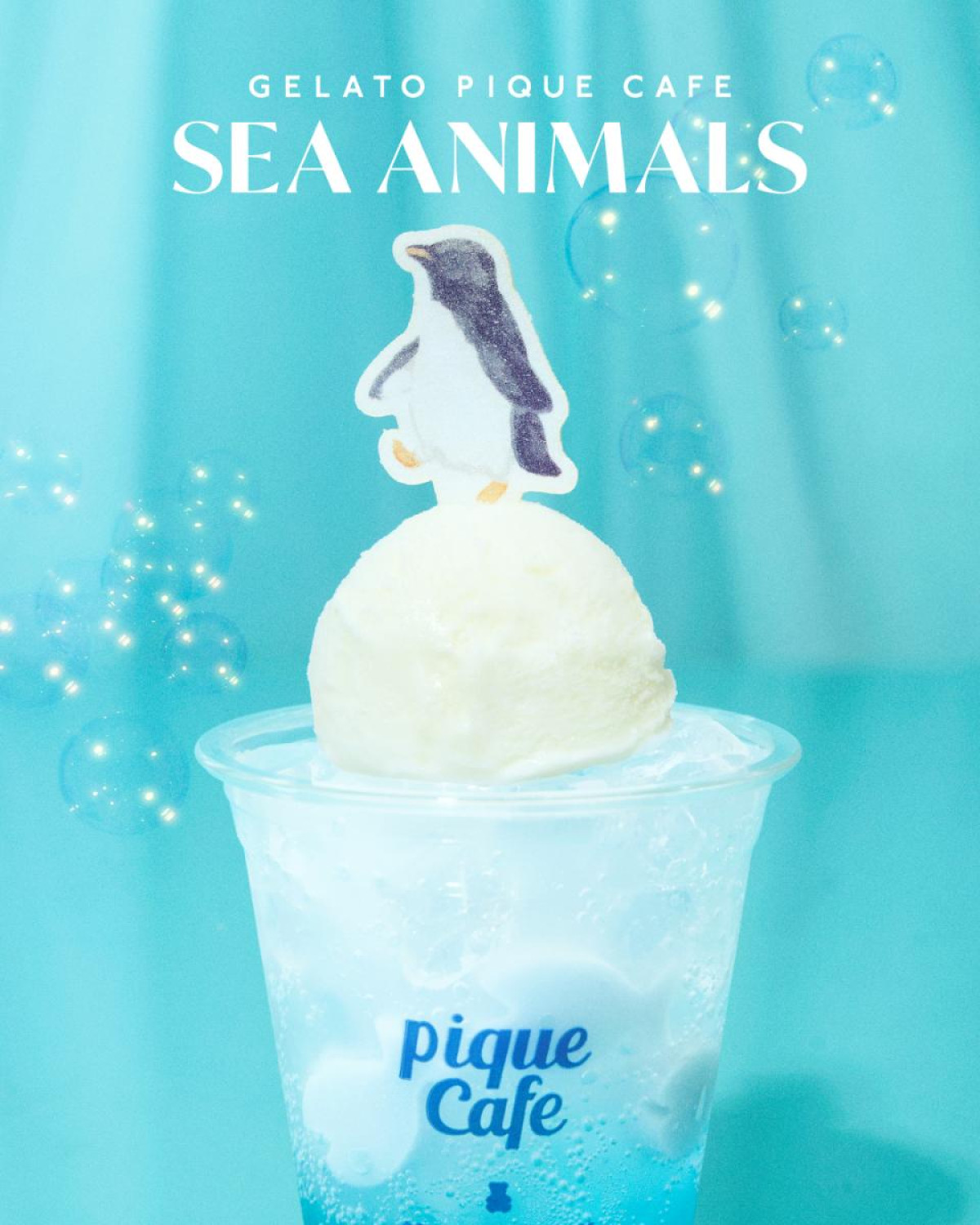 260523「SEA ANIMALS」