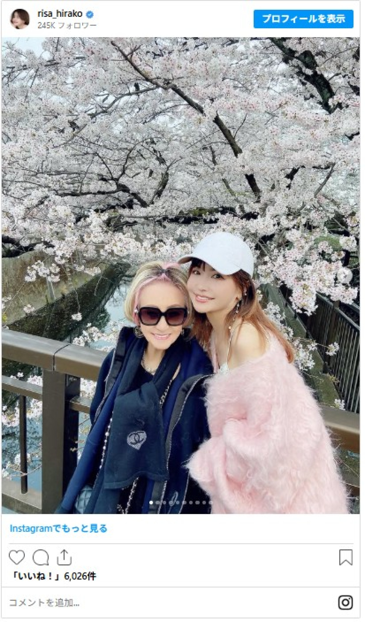 美人芸能人の“母”、顔出しショットをイッキ見　ギャルモデルに人気俳優の妹も【きょうは母の日】